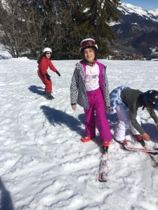 ski (8)
