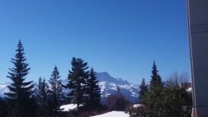 ski (9)